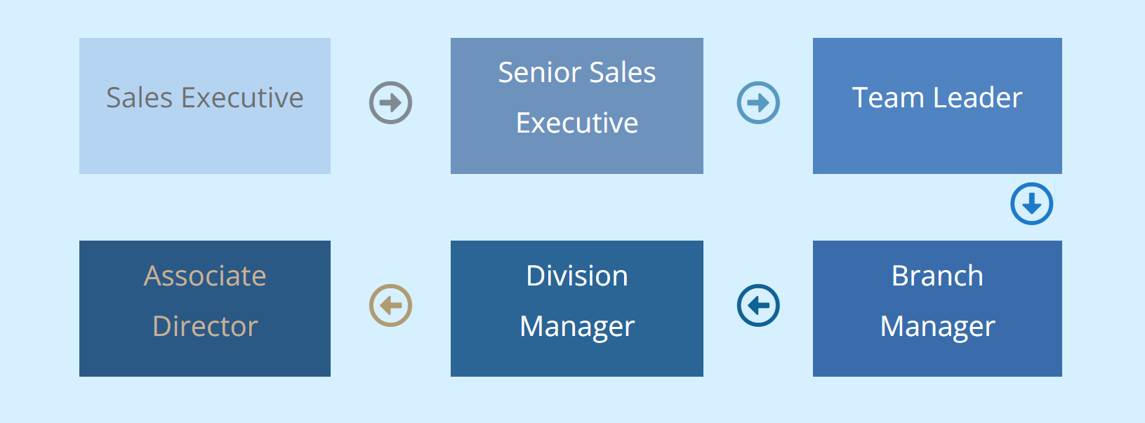 Career path